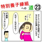 特別養子縁組への道 23