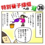 特別養子縁組への道 26