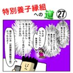 特別養子縁組への道 27