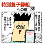 特別養子縁組への道 28