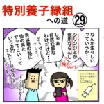 特別養子縁組への道 29