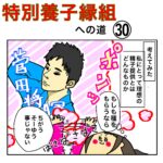 特別養子縁組への道 30